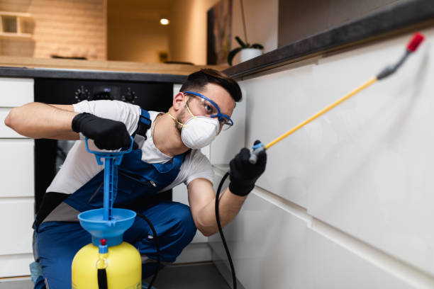 Best Residential Pest Control  in Waterville, NY