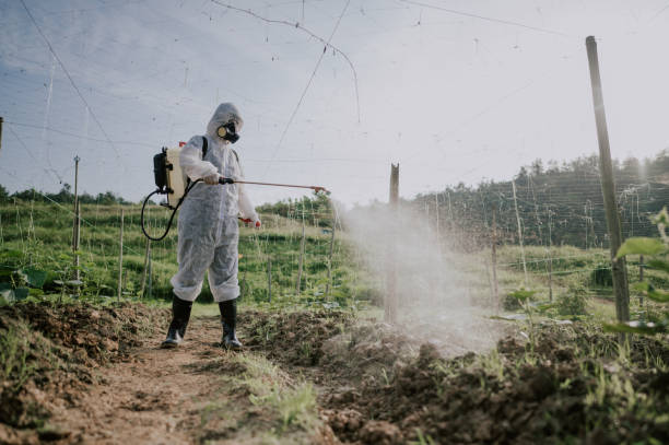Best Pest Control Cost  in Waterville, NY