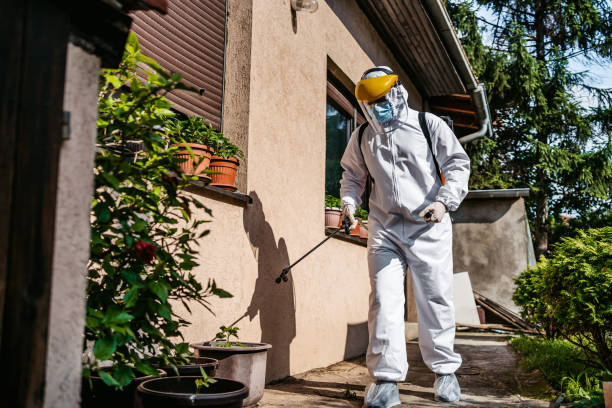 Reliable Waterville, NY Pest Control Solutions