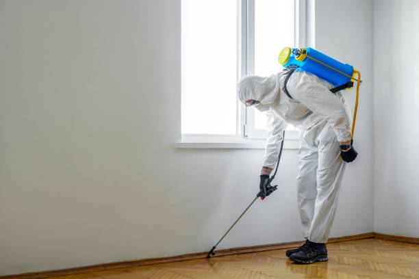 Best Local Pest Control Services  in Waterville, NY