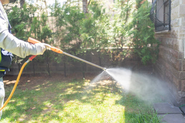 Best Cockroach Control Services  in Waterville, NY