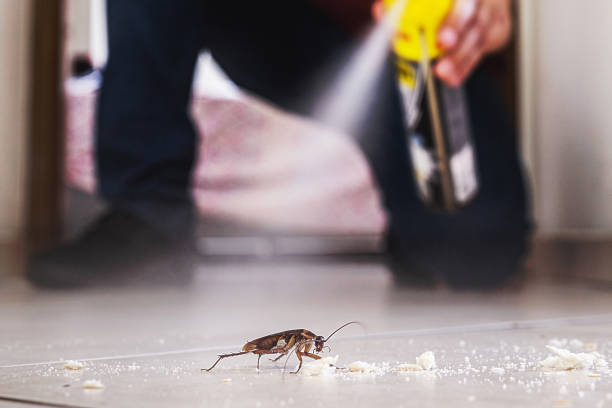 Best Commercial Pest Control Services  in Waterville, NY